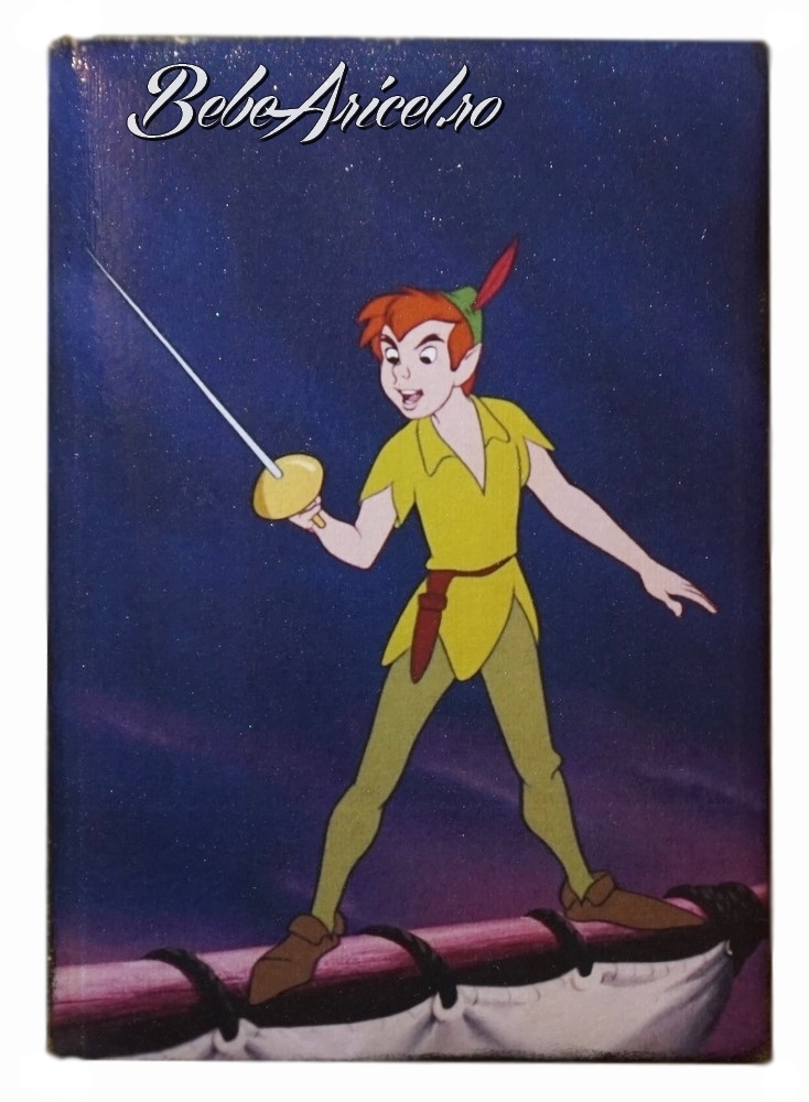 Agenda decorata si pictata PETER PAN